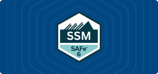 af-safe-training-ssm