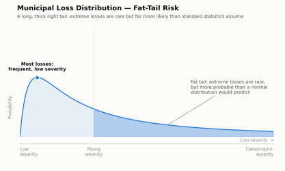 fat_tail_distribution